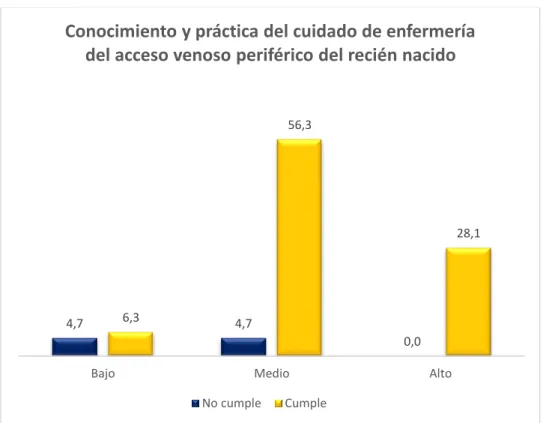 GRÁFICO N° 04 