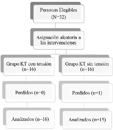 Figura 7. Aleatorización 
