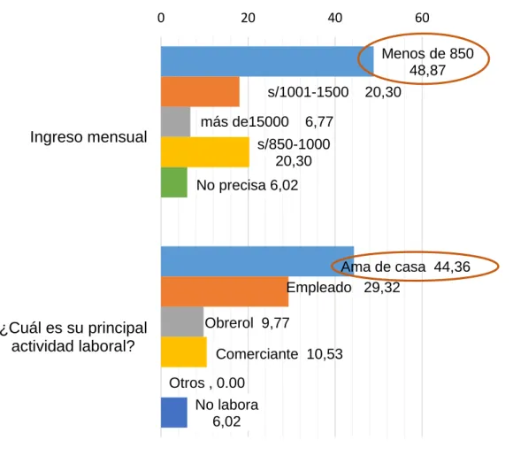 GRÁFICO N° 05 