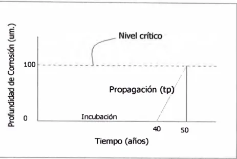 Fig.  8  Proceso de carbonatación 