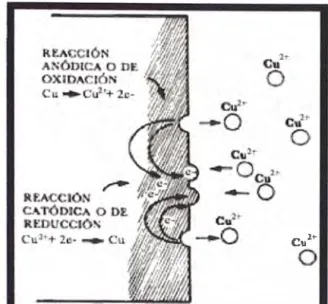 Fig.  13  Reacciones  en  el proceso de corrosión 