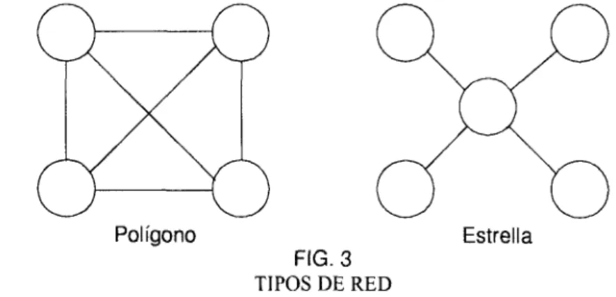 FIG. 3  TIPOS DE RED 