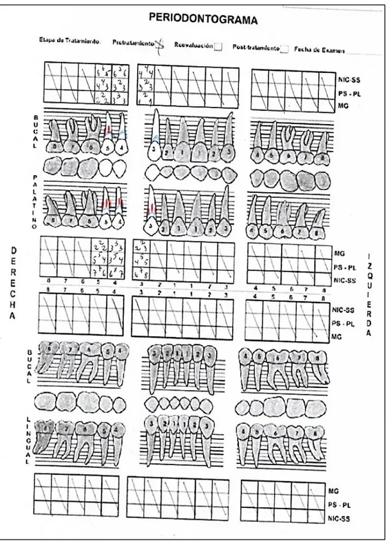 Figura 03: Periodontograma 