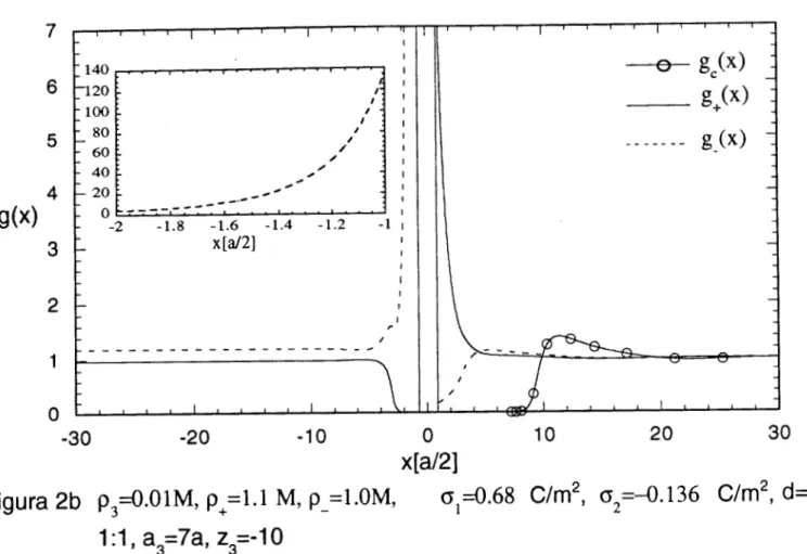 Figura  2b  p,=O.OlM,  p  +  =1.1  M,  p  -  =l.OM,  ( ~ ~ 3 . 6 8   C/m2, 0,=4.136  C/m2,  d=l 