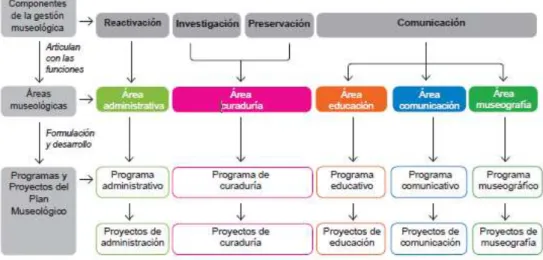 Figura  4.  Componentes  de  la  Gestión  Museológica  y  la  relación con las áreas del museo 