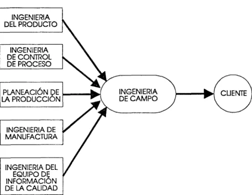Figura 5.  Información  de  ingenieria  de  campo 