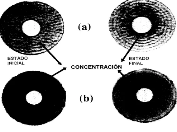 Fig. 1-8.  Movimiento  anómalo de  las  partículas de gran  tamaño  a l   centro  del  cilindro 