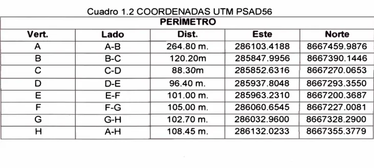 Cuadro 1.2 COORDENADAS UTM PSAD56  PERIMETRO 