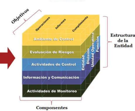 Figura 3: Coso 2013 