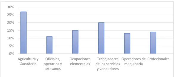 Tabla 5. Ocupación de la población de Loja 