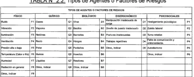 TABLA  No  2.2:  Tipos de Agentes o Factores de  Riesgos 