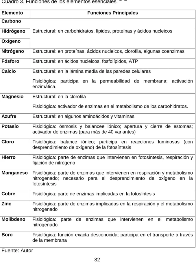 Cuadro 3. Funciones de los elementos esenciales. 40-43 Elemento  Funciones Principales  Carbono 