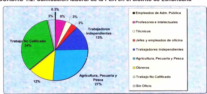 CUADRO 1.2:  Calificación laboral de la PEA en el distrito de Lunahuaná 