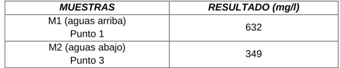 Tabla 3. Resultados DQO.