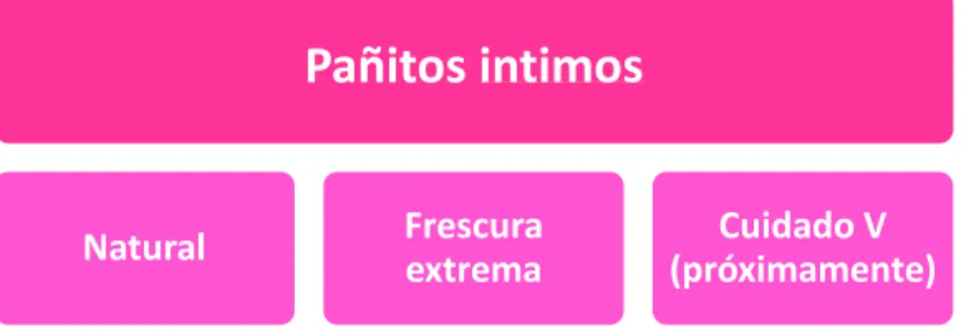 Figura 6. Segmentos de Pañitos íntimos Nosotras 