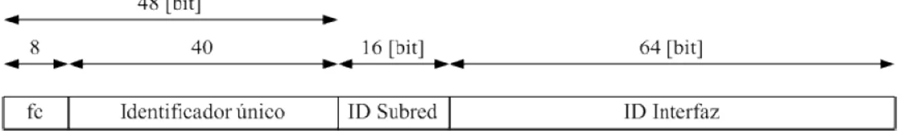 Figura 6. Formato dirección Unicast 