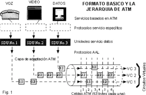 Fig.  1  Capa ck .+J