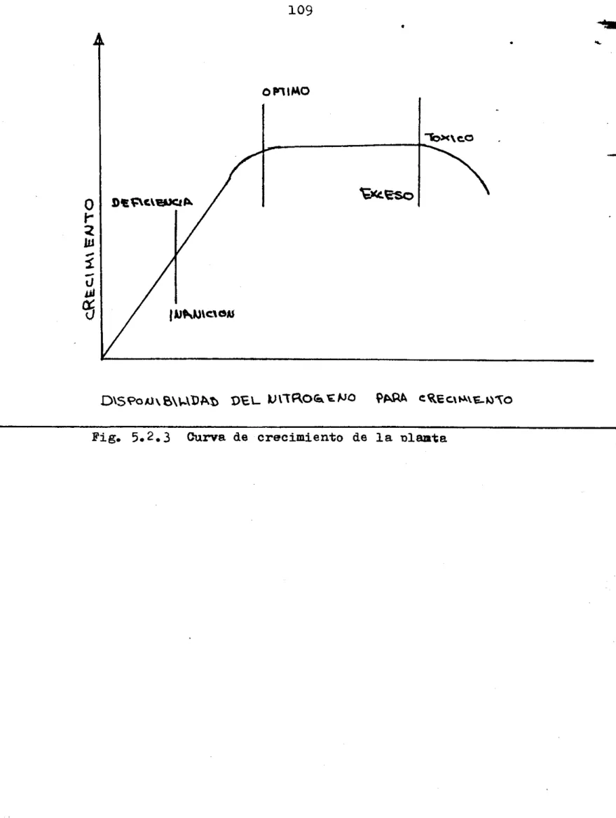 Fig.  5.2.3  Curva  de  crecimiento  de  la  D l a m t a  