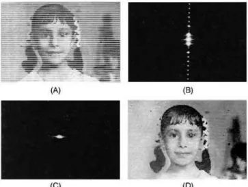 Figura 3. Método de segmentación 