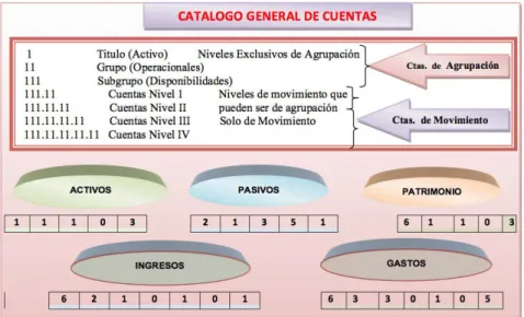 Cuadro N° 11: Estructura del catálogo General de Cuentas 