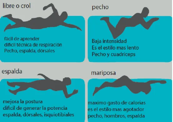 Figura 3. Estilos de natación