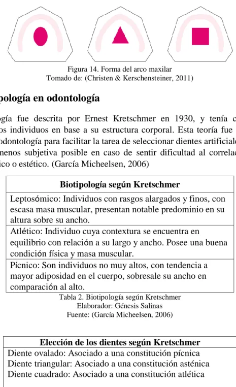 Tabla 2. Biotipología según Kretschmer  Elaborador: Génesis Salinas  Fuente: (García Micheelsen, 2006) 
