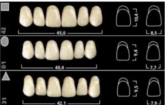 Figura 18. Carta de dientes Ivostar  Tomado de: (Ivoclar Vivadent, s.f.)  