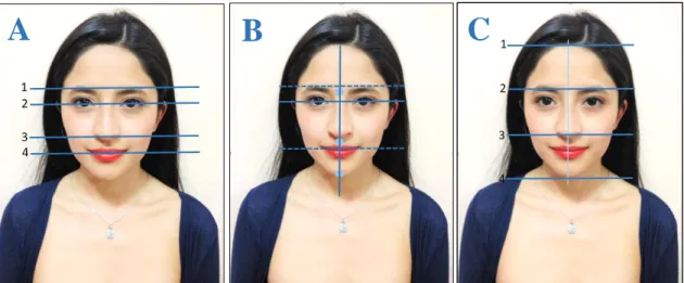 Ilustración 3. Análisis Facial (Vista Frontal). A) 1. Línea interorbital 2. Línea interpupilar  3