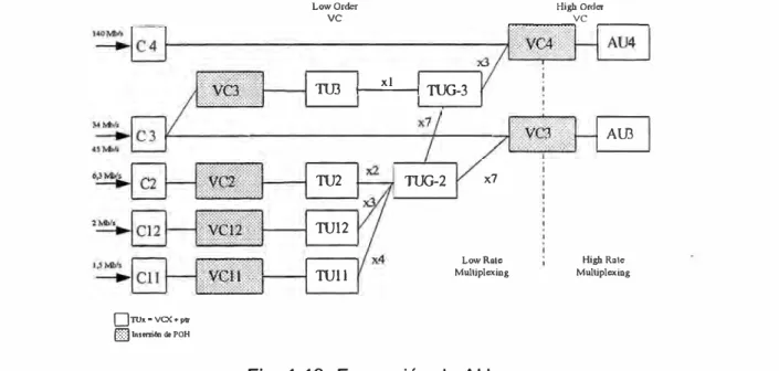 Fig. 1.1 O  Formación de AU 