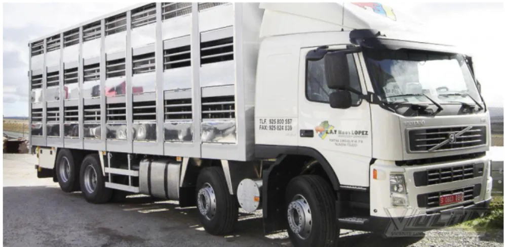 Figura 16. Transporte, (Agromar, Sf) 