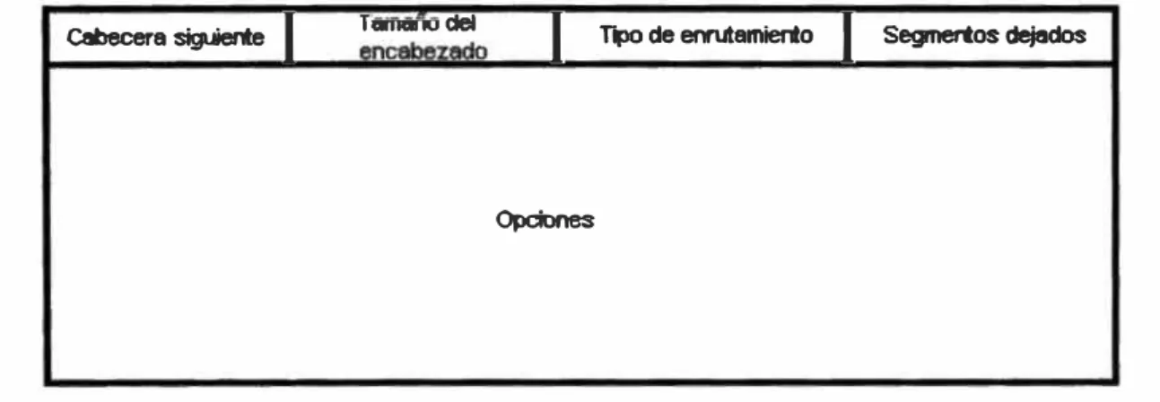 Figura 2.5 : Cabecera de enrutamiento 