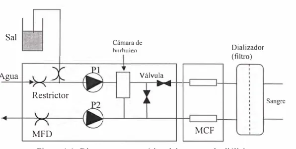 Figura 1.1: Diagrama esquemático del proceso de diálisis. 