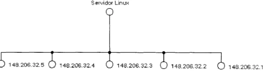 Fig.  l .   Red conformada  por cinco maquinas Einulx  ó  procesos,  indicando  direcciones  IP  de rled 