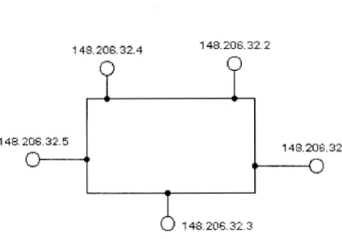 Fig. 2. Una  vez  formado el anillo 