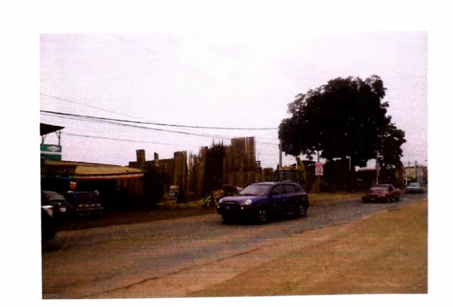 FIGURA 4.1.  COMERCIO DE MADERA.  ZONA  B,  DISTRITO DE LURIN 