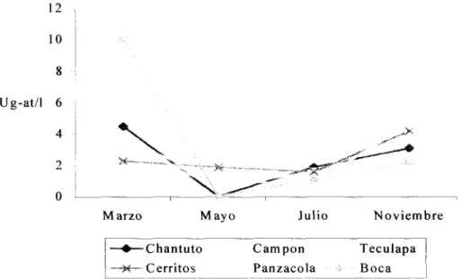 Fig.  1 7 .  V a r i a c i ó n     m e n s u a l     d e  los o r t o f o s f a t o s     e n     l a s     l a g u n a s   d e l     s i s t e m a     l a g u n a r     C h a n t u t o - P a n z a c o l a ,     C h i a p a s 