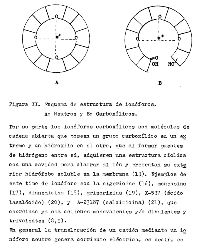 Figura  II.  %quem2  de  estructura  de  ionóforos. 