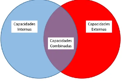 Figura 5: Tipos de capacidades 