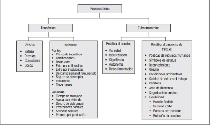 Figura 8: Diversos tipos de remuneración  