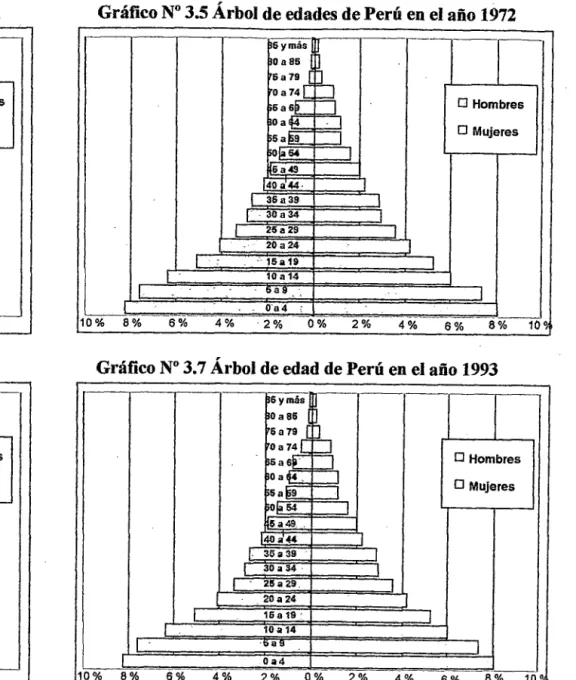 Gráfico No 3.6 Árbol de edades de Perú en el año 1981 
