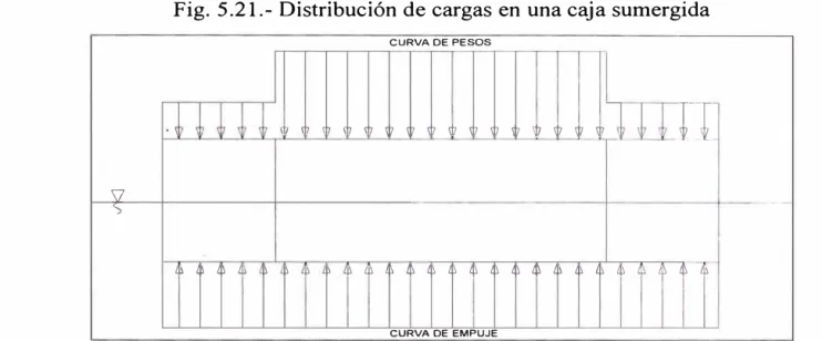 Fig.  5.21.- Distribución de cargas en una caja sumergida 