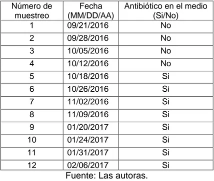 Tabla 3: Fechas de los muestreos realizados en la PTAR del Hospital de Suba.  Número de  muestreo  Fecha  (MM/DD/AA)  Antibiótico en el medio (Si/No)  1  09/21/2016  No  2  09/28/2016  No  3  10/05/2016  No  4  10/12/2016  No  5  10/18/2016  Si  6  10/26/2