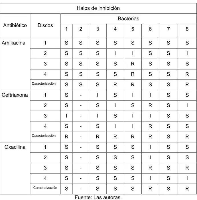 Tabla 7: Caracterización de los halos de inhibición en las muestras con mayor  concentración de antibiótico