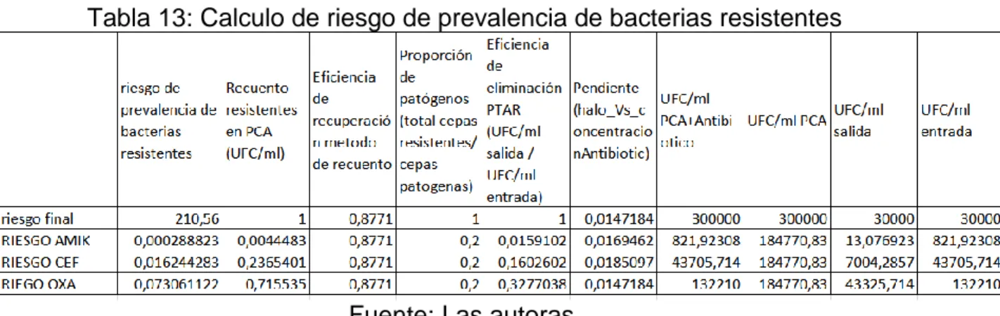 Tabla 13: Calculo de riesgo de prevalencia de bacterias resistentes 