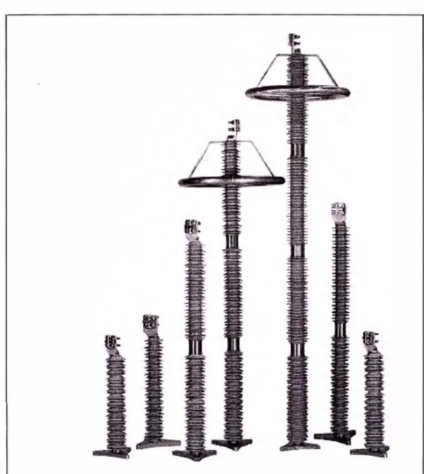 Figura 2.3 Pararrayos clase estación (Cooper Power Systems) 
