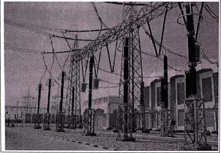 Figura 6.la.  Aplicación de pararrayos en Subestaciones (400 kV) 