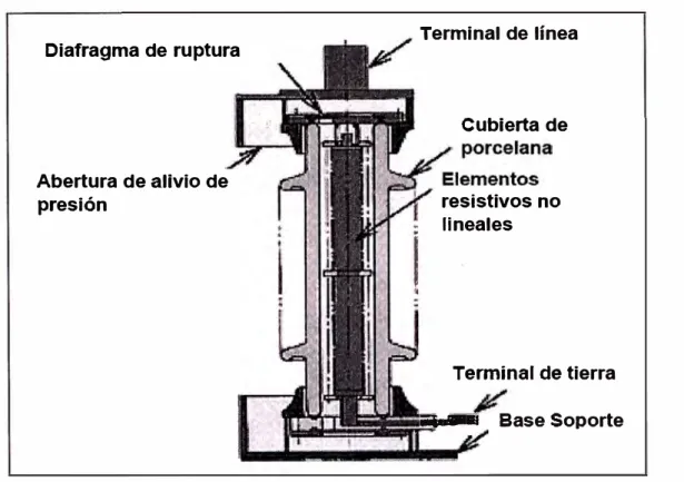 Figura 6.5. Estructura típica de pararrayo tipo GIS 