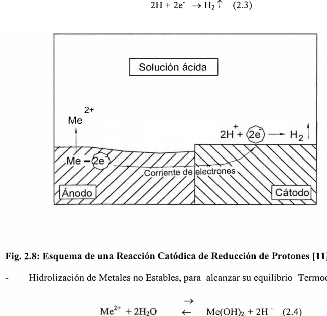 Fig. 2.8: Esquema de una Reacción Catódica de Reducción de Protones [11] 