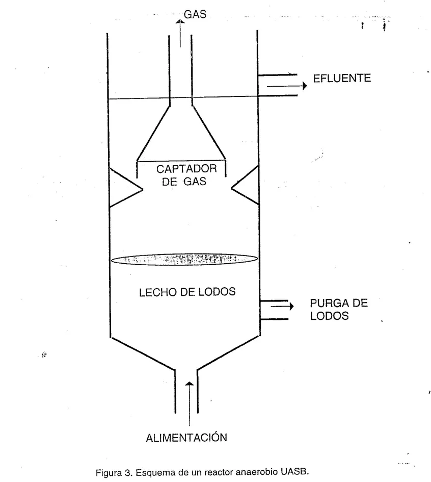 Figura  3.  Esquema  de im reactor anaerobio UASB. 