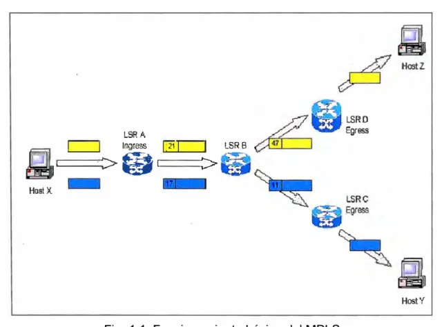 Fig. 1.1:  Funcionamiento básico del MPLS 